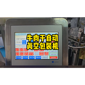 牛肉干真空包裝機(jī)